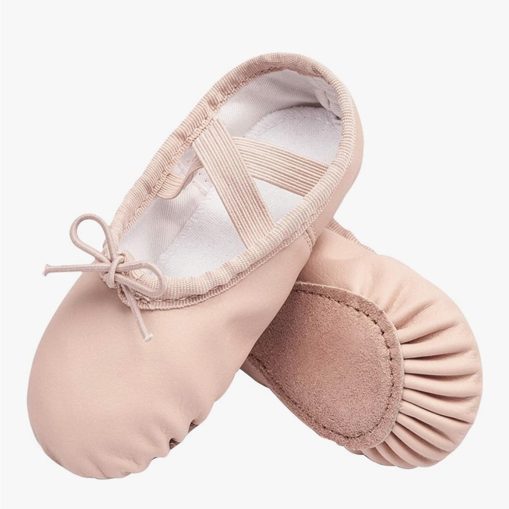 NWT Ballet Shoes in Pink (Sze 1)
